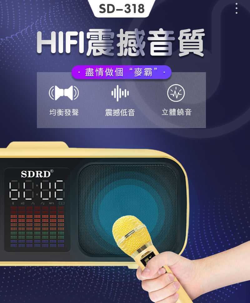 SDRD SD-318 雙人無線 k 歌音箱