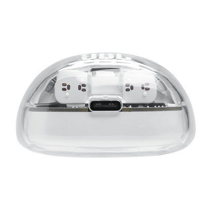 JBL Tune Flex 2 真無線降噪耳機