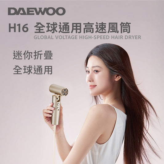Daewoo 全球通用高速風筒 H16