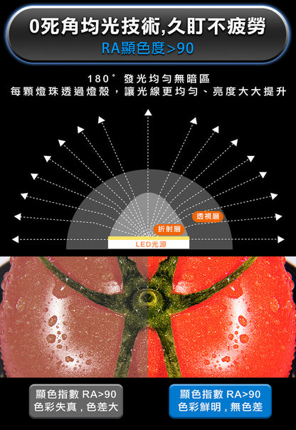 Future Lab T-Lamp 雙子掛燈