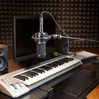 Audio-Technica 鐵三角 AT2035 心形指向性電容式咪高峰